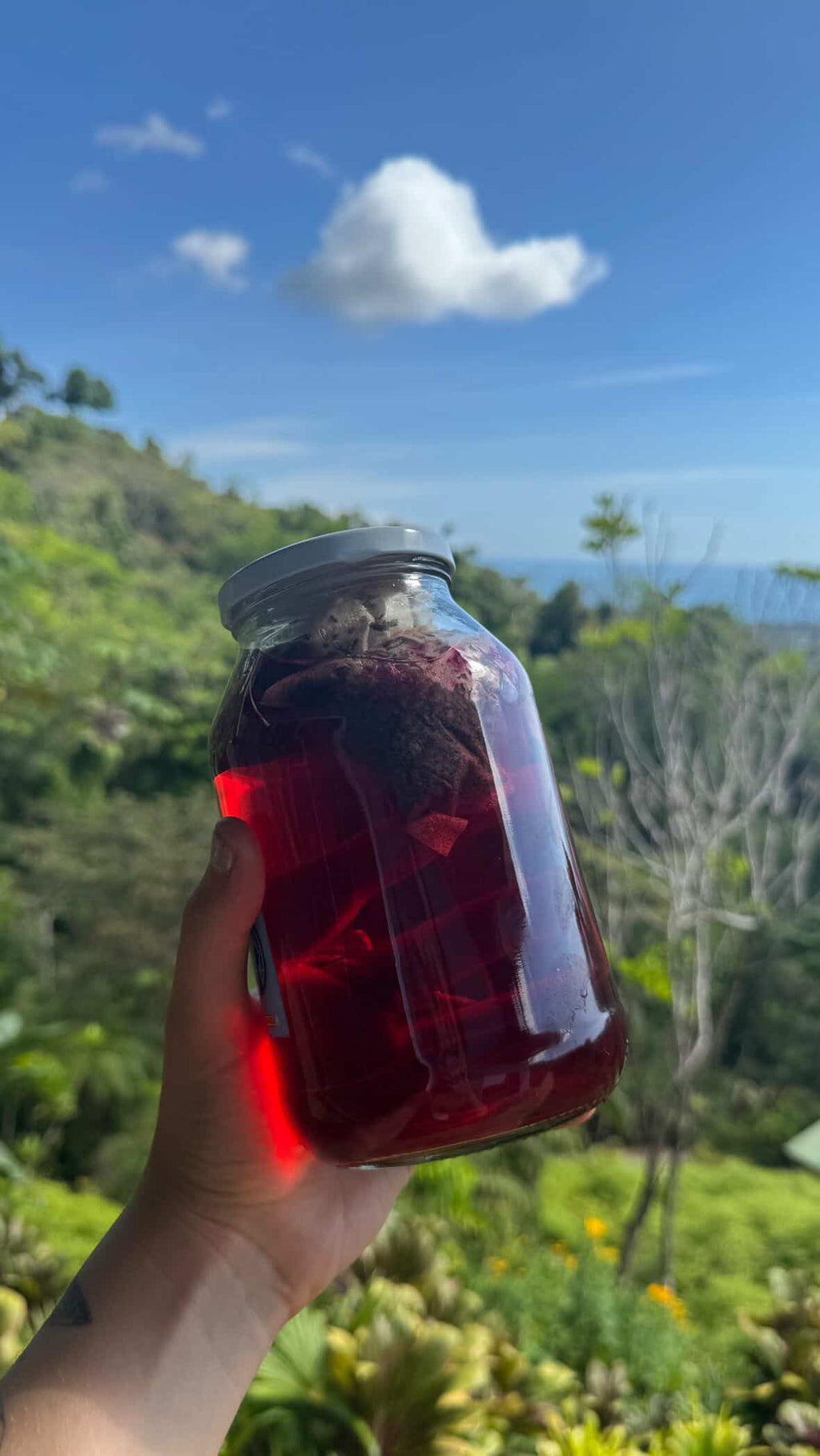 Sunny Days Tea - Electrolyte