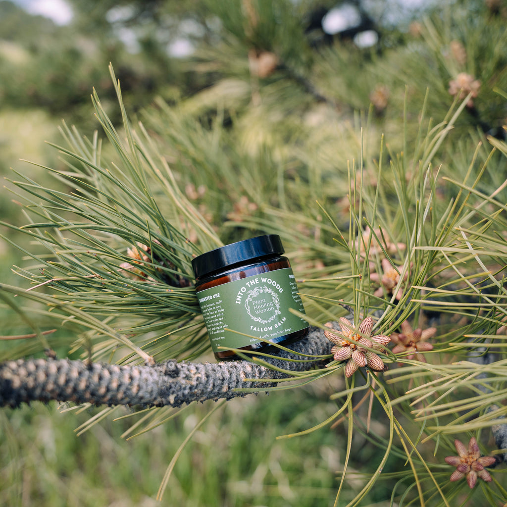 Into The Woods Tallow Balm