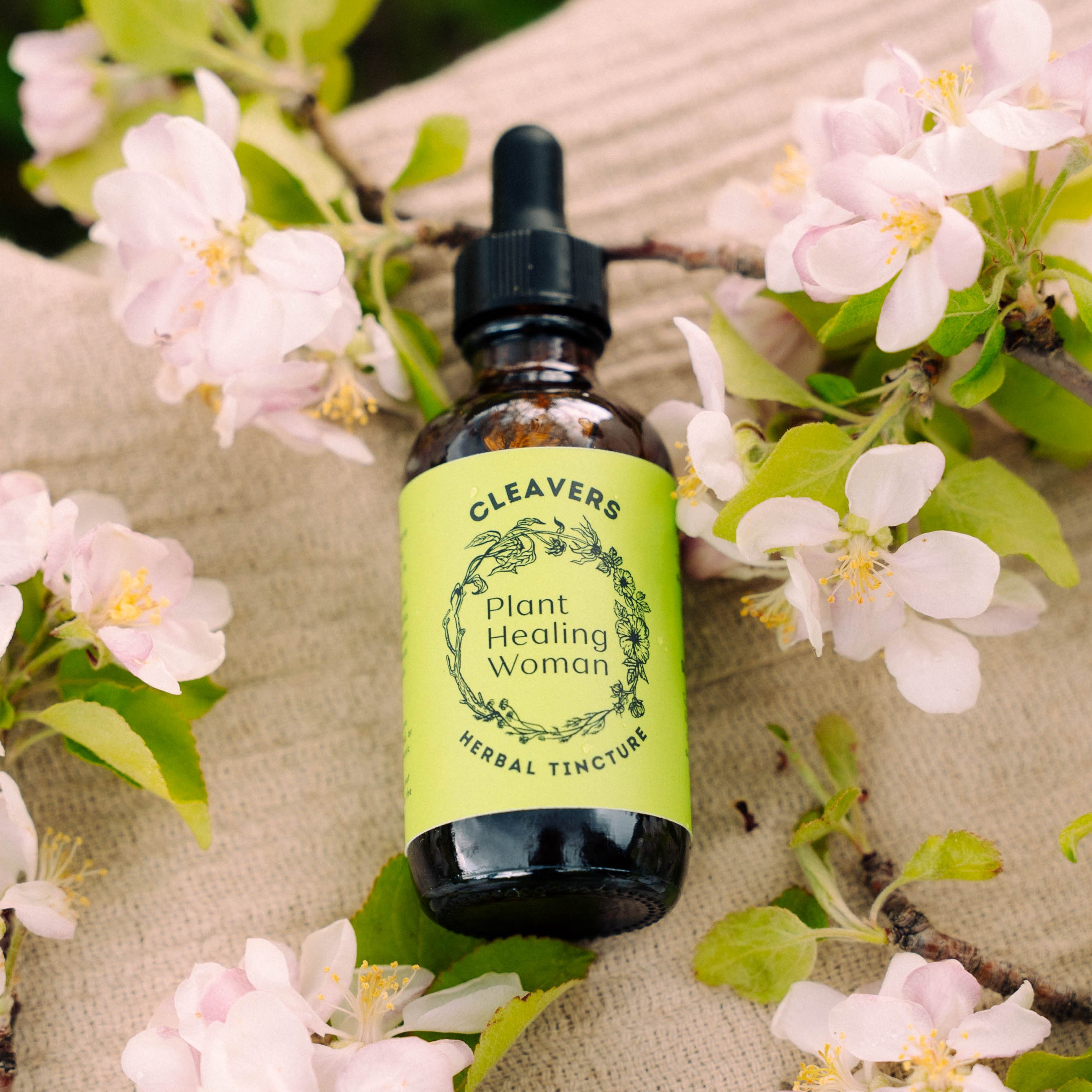 Cleavers Tincture - Lymph Aid